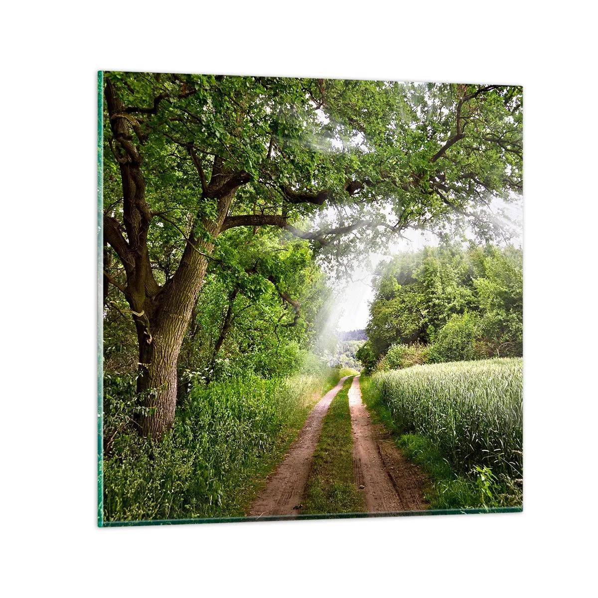 Quadro em vidro - Os pastores de Arcadia - 30x30 cm