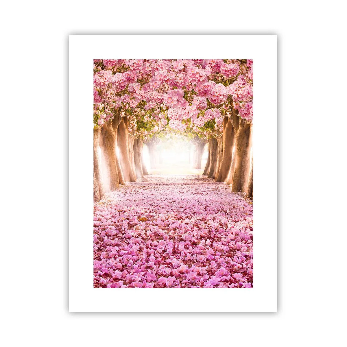 Pôster - O Caminho para o Paraíso - 30x40 cm