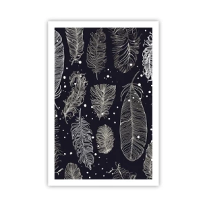 Pôster - Rendas de penas - 61x91 cm