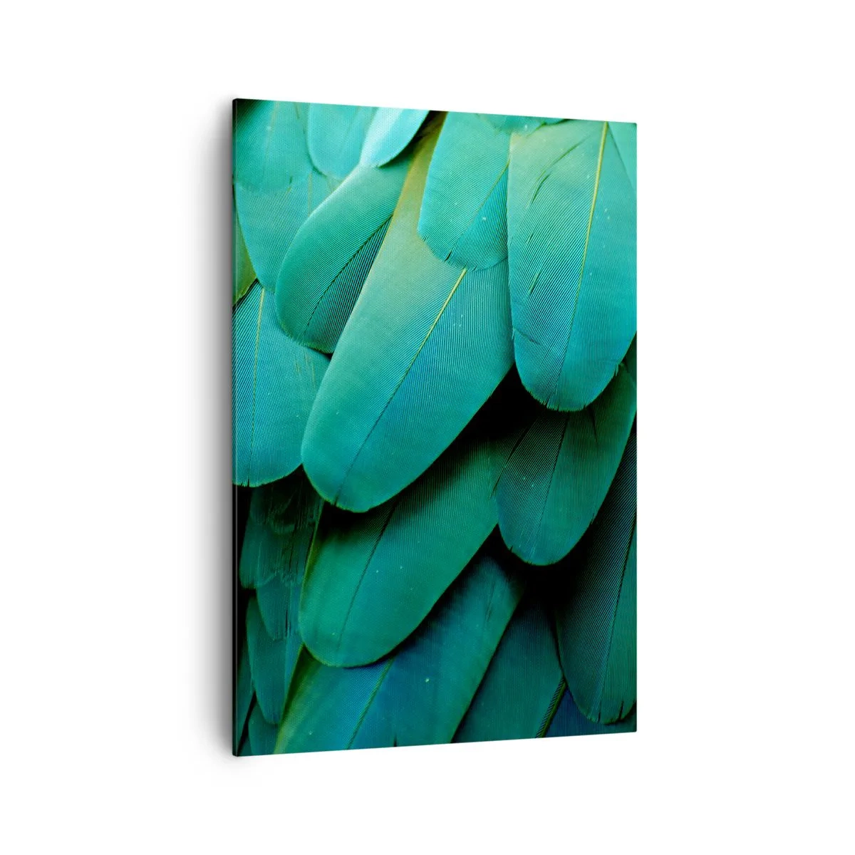 Quadro em tela - Precisão de papagaio - 70x100 cm
