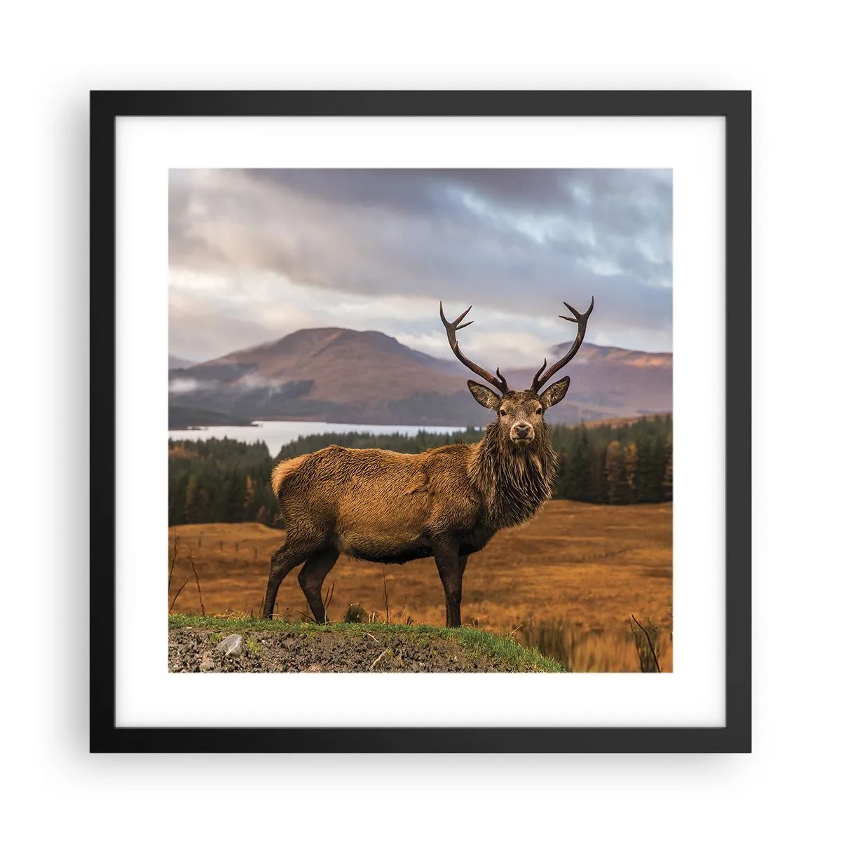 Pôster com moldura preta - A majestade da natureza - 40x40 cm