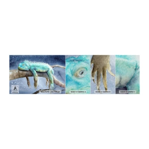 Amostra de papel de parede Premium Canvas - Estamos bem! - Camaleão, Animal, Preguiça - 100x30 cm