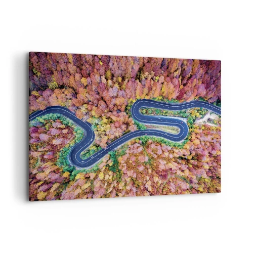 Quadro em tela - Estrada sinuosa pela floresta - 100x70 cm