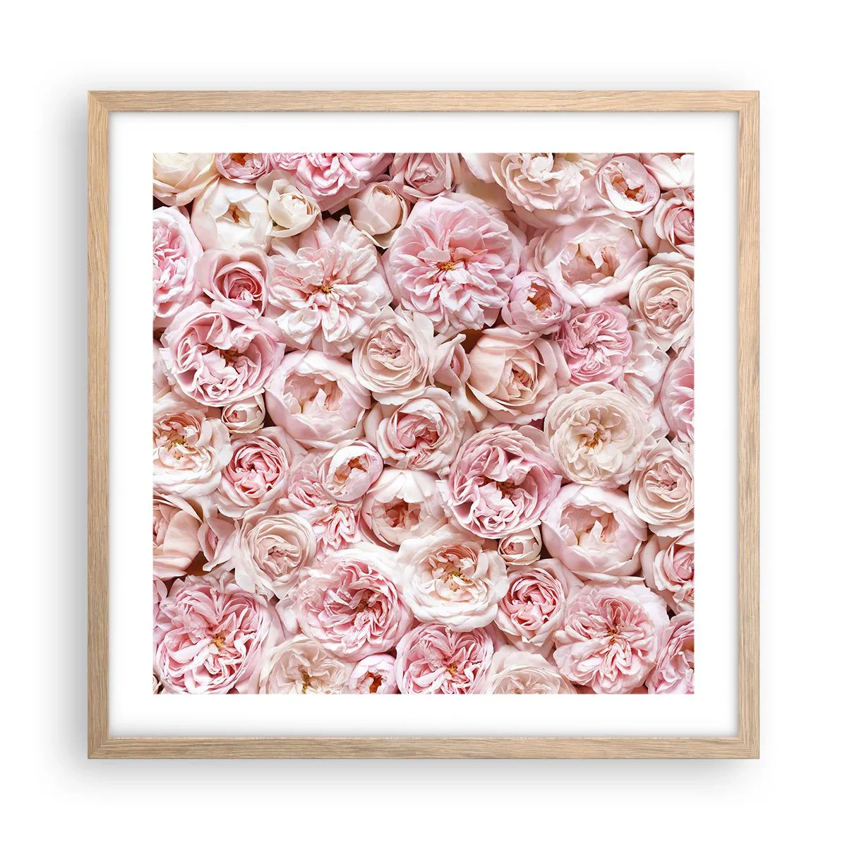 Pôster com moldura de carvalho claro - Uma cama de rosas - 50x50 cm