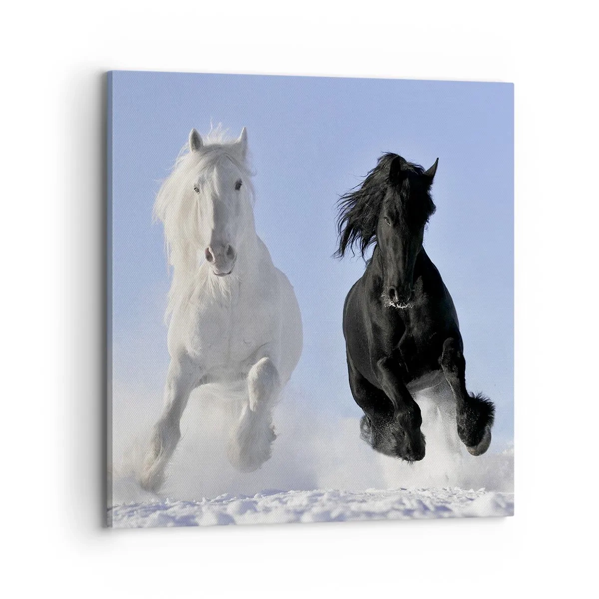 Quadro em tela - Galope preto e branco - 70x70 cm
