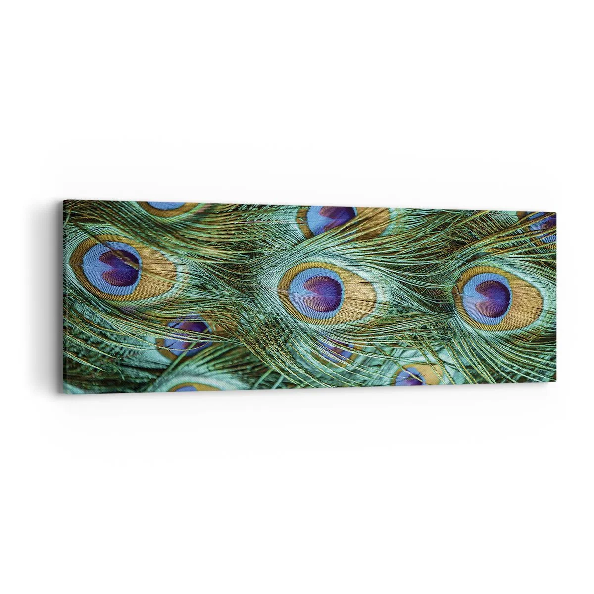 Quadro em tela - Um olhar de pavão - 90x30 cm