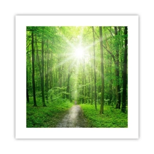 Pôster - Catedral Verde - 40x40 cm