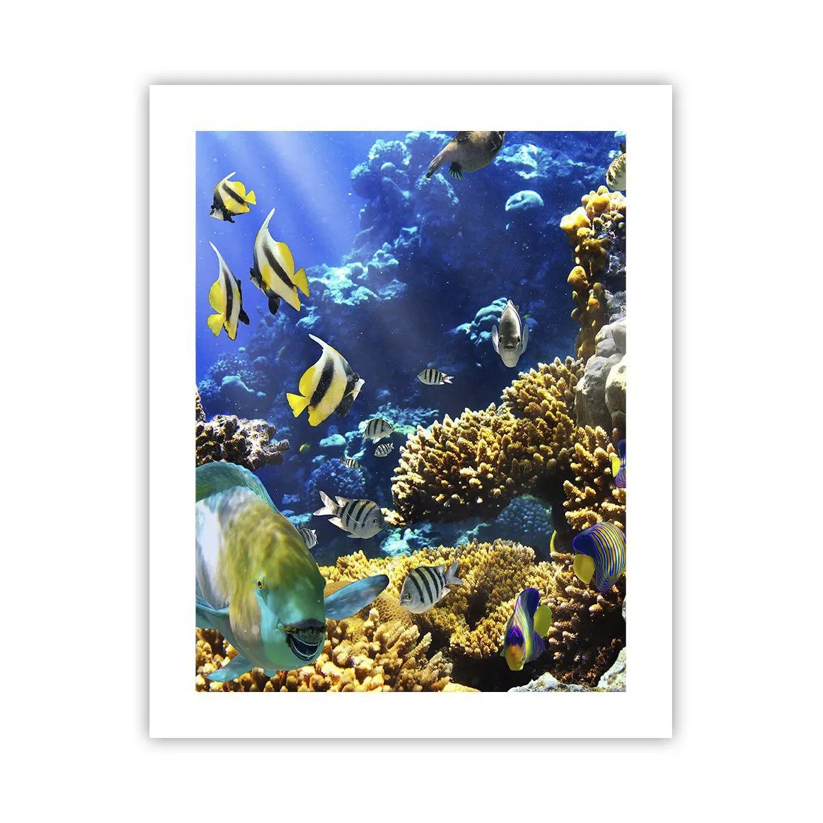 Pôster - Tráfego intenso no percurso de férias - 40x50 cm