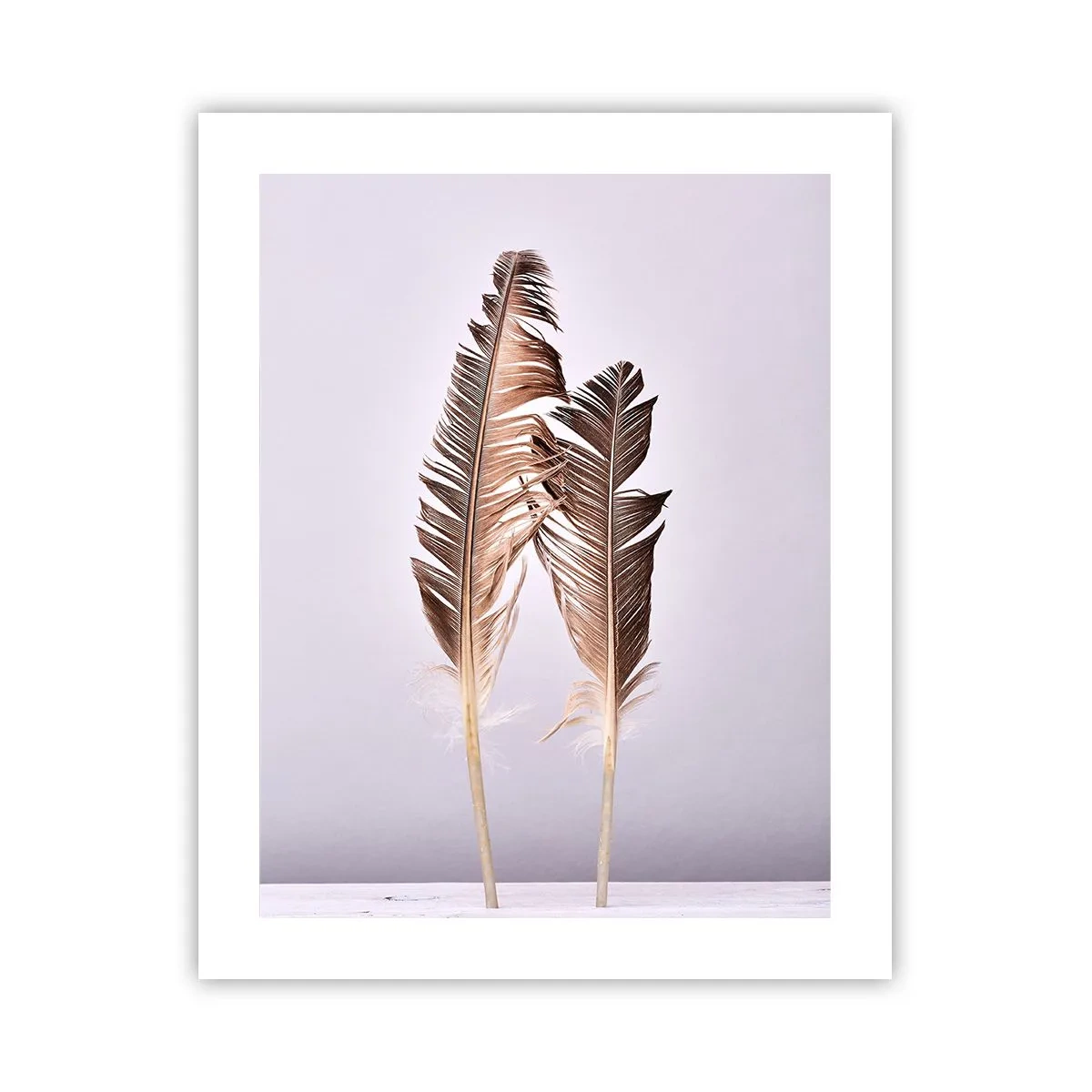 Pôster - Contra o nada - 40x50 cm