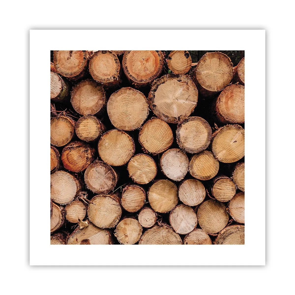 Pôster - Um novo começo - 40x40 cm