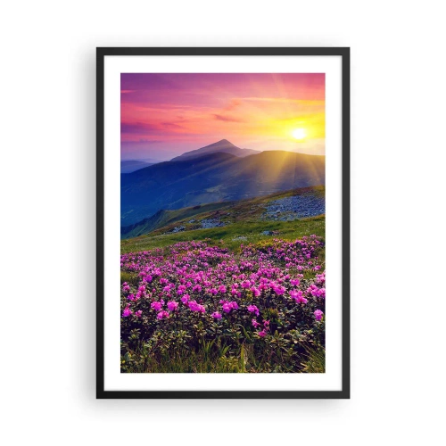 Pôster com moldura preta - Panorama de montanha com rododendros em flor e pôr do sol - 50x70cm - …Cheiro de pinheiros e ervas da montanha - Decoração de parede moderna para a sala de estar e quarto ARTTOR