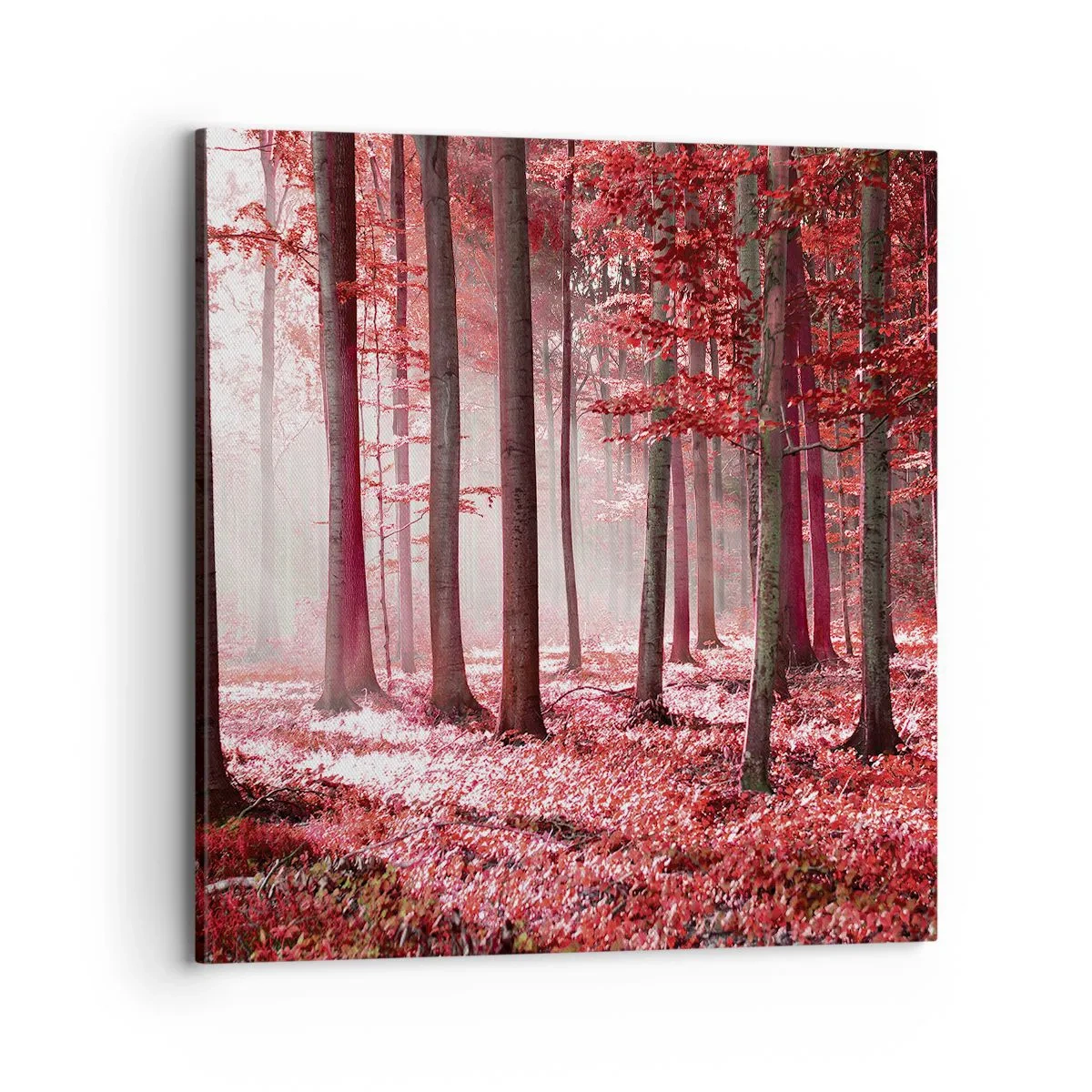 Quadro em tela - O vermelho também é belo - 70x70 cm