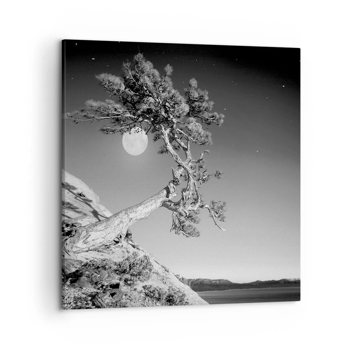 Quadro em tela - Guerreira vitoriosa - 50x50 cm