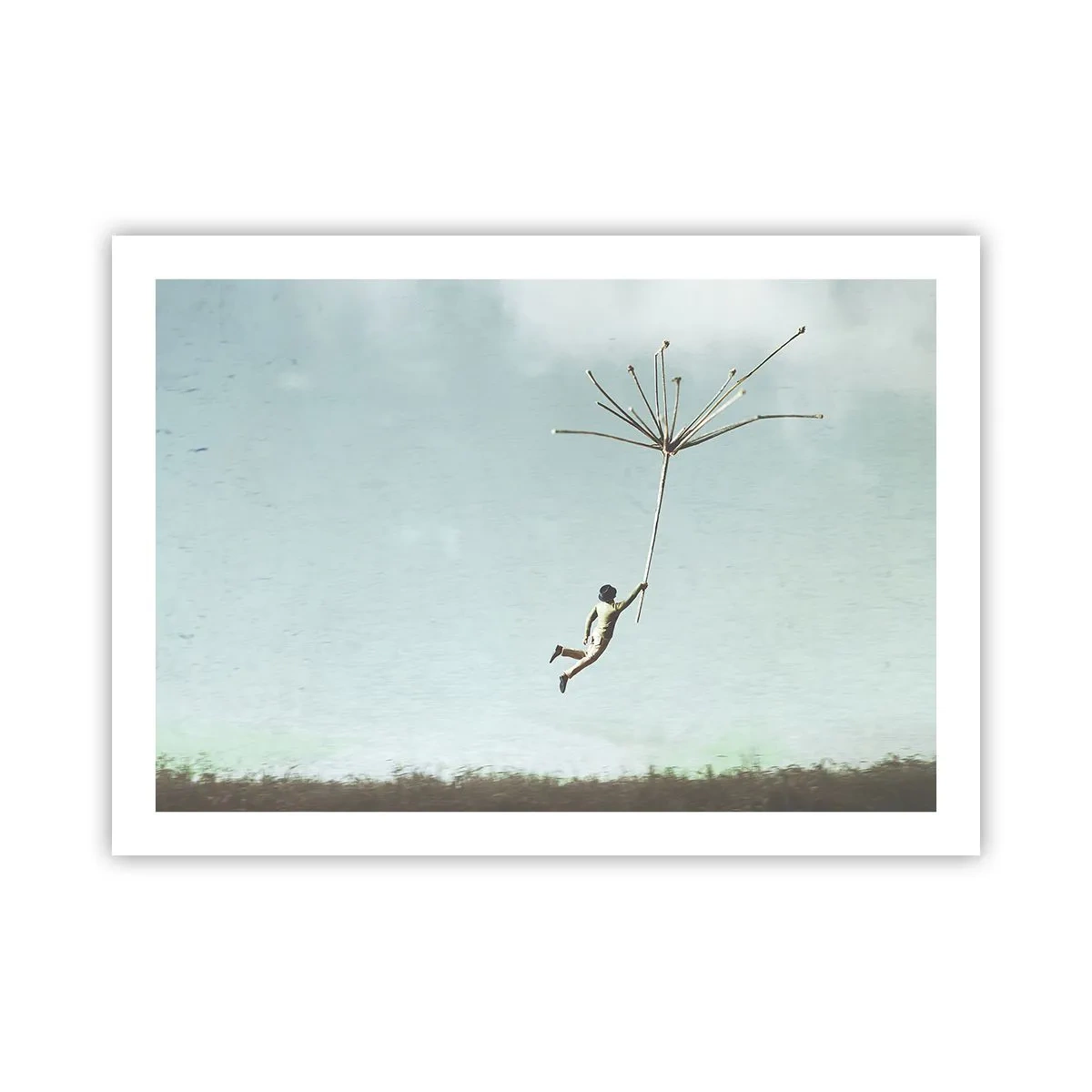 Pôster - Papagaios, balões, vento - 70x50 cm