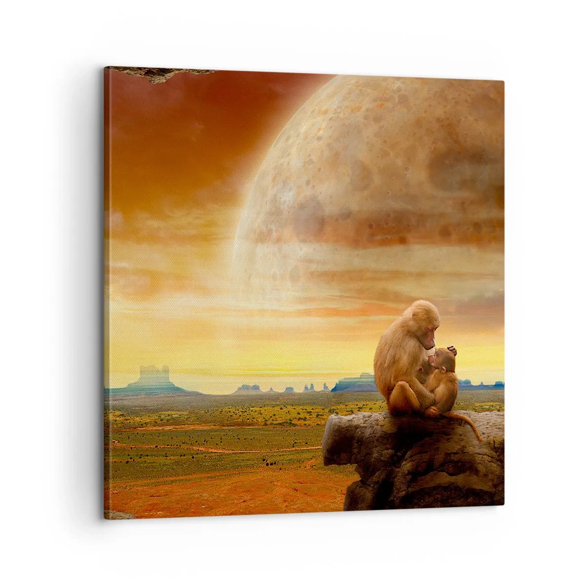 Quadro em tela - O amor é o mesmo em todos os lugares - 60x60 cm
