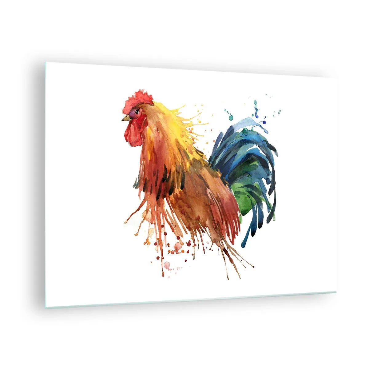 Quadro em vidro - Galo em aquarela em cores vivas sobre fundo branco - 70x50cm - Manto real, orgulho real - Decoração de parede moderna para a sala de estar e quarto ARTTOR