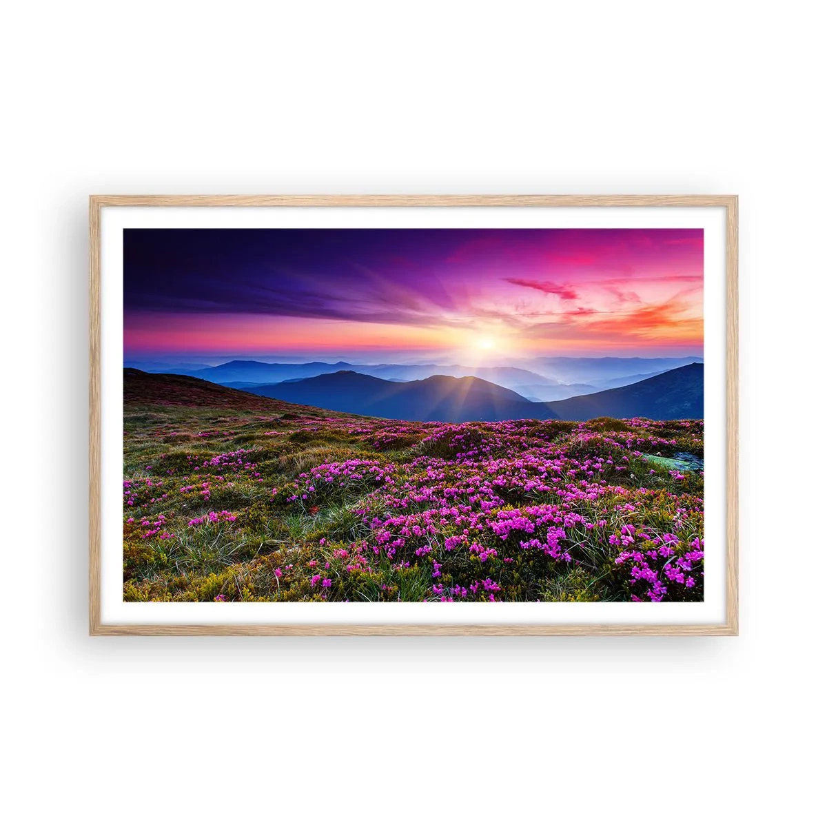 Pôster com moldura de carvalho claro - Campo cheiroso - 91x61 cm
