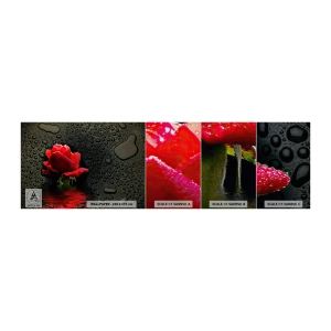 Amostra de papel de parede Premium Canvas - Vermelho e preto - Flores, Rosa, Água - 100x30 cm