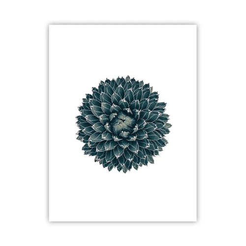 Pôster - Estrela do Deserto - 30x40 cm