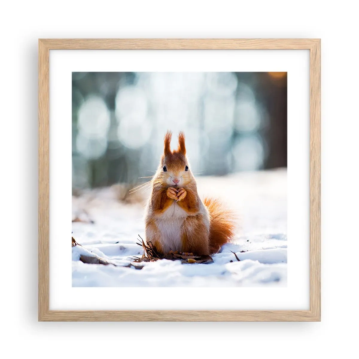 Pôster com moldura de carvalho claro - Para o que estás a olhar? - 40x40 cm