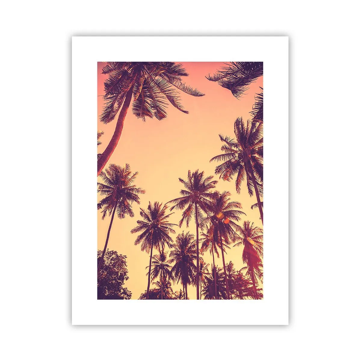 Pôster - Variação tropical - 30x40 cm