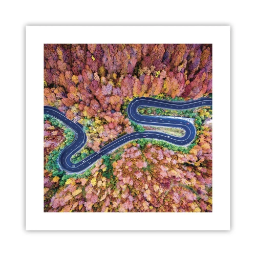 Pôster - Estrada sinuosa pela floresta - 40x40 cm