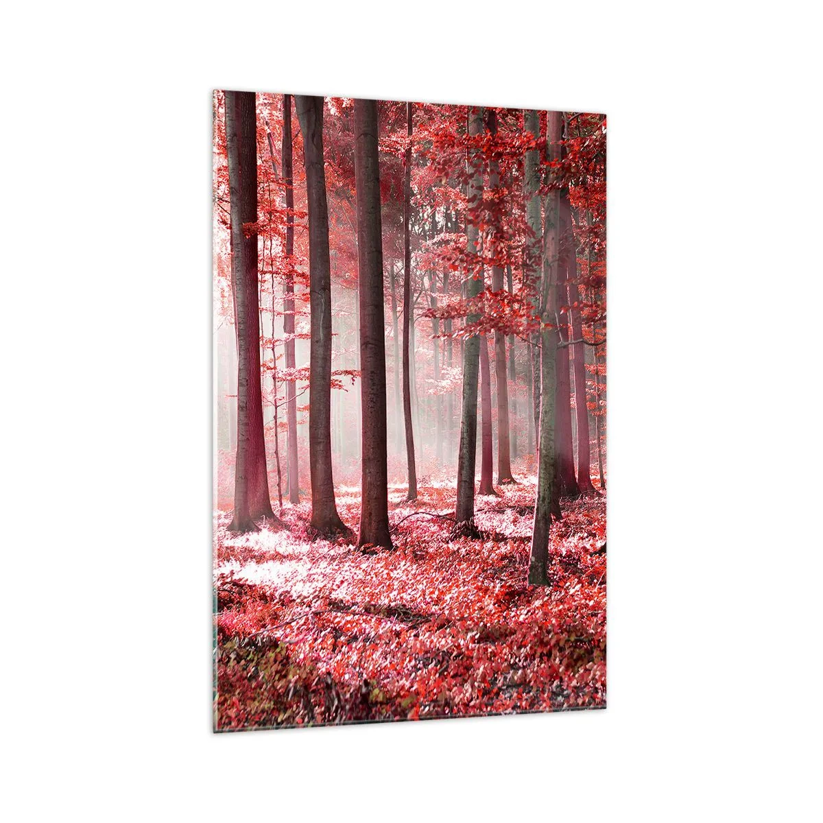 Quadro em vidro - O vermelho também é belo - 70x100 cm