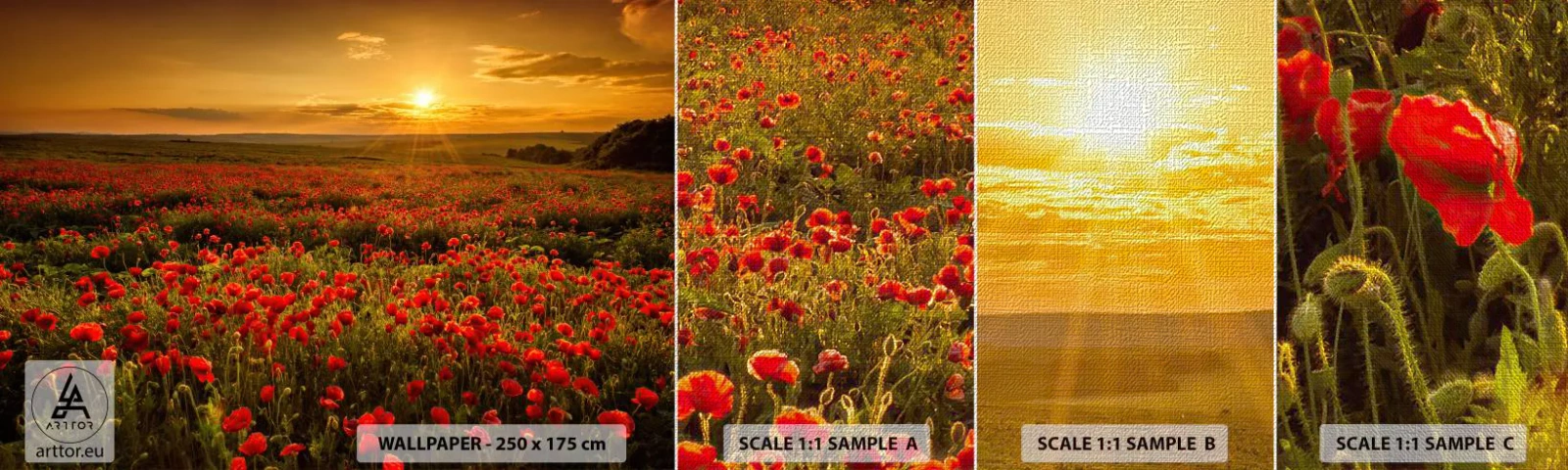 Amostra de papel de parede Premium Canvas - Entre o farfalhar da onda de prados, entre o dilúvio das flores - Paisagem, Flores, Papoilas - 100x30 cm