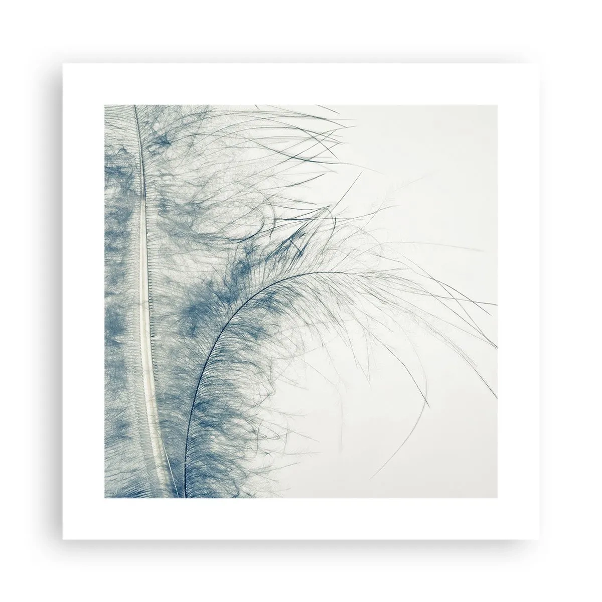 Pôster - O sussurro da natureza - 40x40 cm
