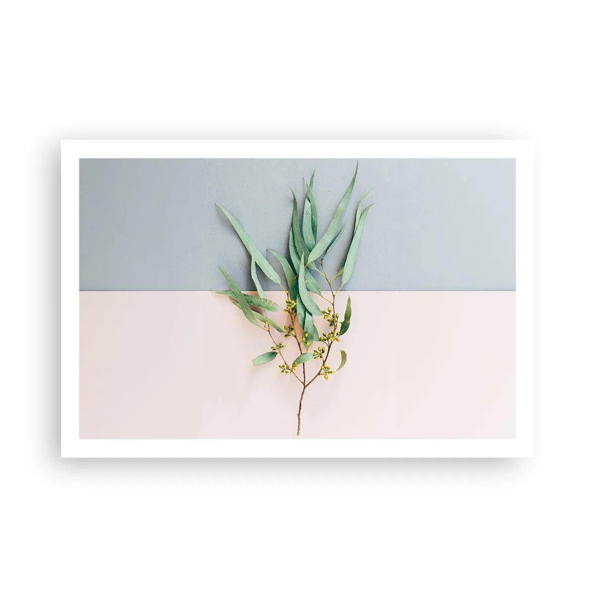 Pôster - Sutileza pastel - 91x61 cm