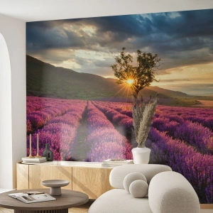 Papel de Parede Premium Canvas - Aroma lilás - Paisagem, Lavanda, Provença - 400x280 cm