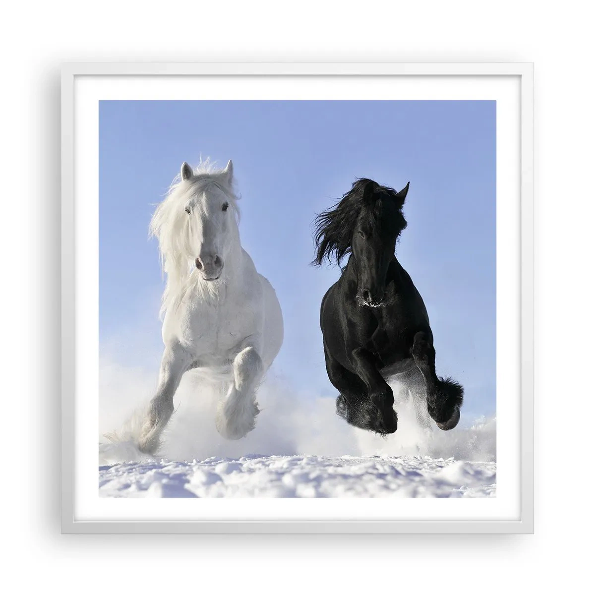 Pôster em moldura branca - Galope preto e branco - 60x60 cm