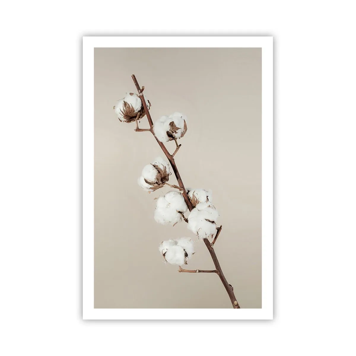 Pôster - Na fonte da suavidade - 61x91 cm