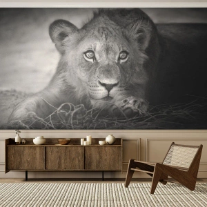 Papel de Parede Autocolante Deluxe Sticker - Cachorro real - Animais, Leão, Preto e branco - 200x140 cm
