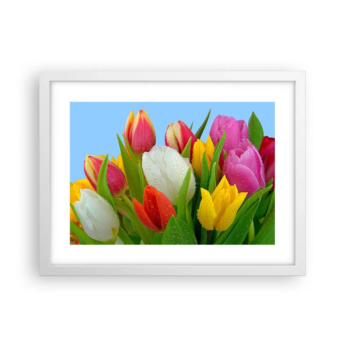 Pôster em moldura branca - Arco-íris floral em gotas de orvalho - 40x30 cm