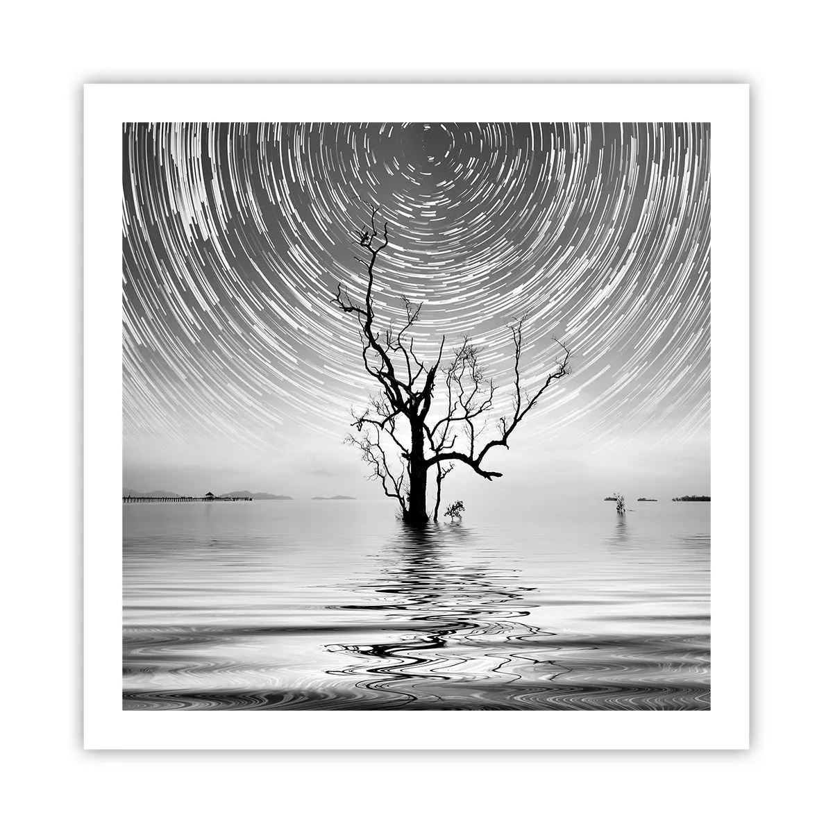 Pôster - Sinfonia da natureza - 60x60 cm