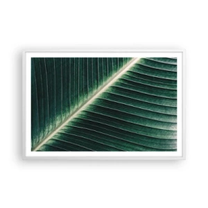 Pôster em moldura branca - O ritmo da natureza - 91x61 cm