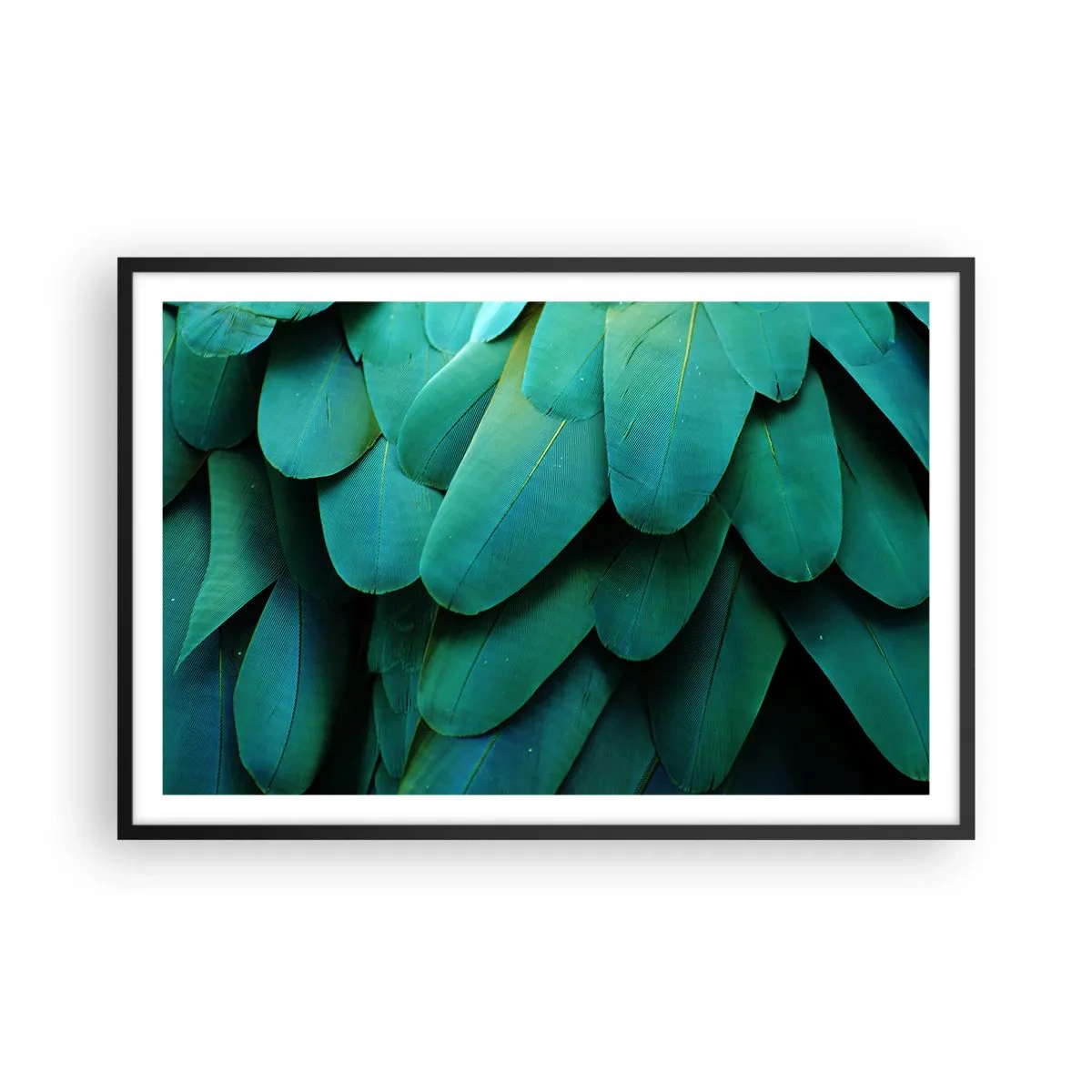 Pôster com moldura preta - Precisão de papagaio - 91x61 cm