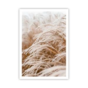 Pôster - Curvar-se ao sol de outono - 70x100 cm