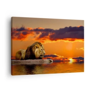 Quadro em tela - Um leão descansa perto da água ao pôr do sol em um céu dramático. - 70x50cm - Rei da natureza - Decoração de parede moderna para a sala de estar e quarto ARTTOR