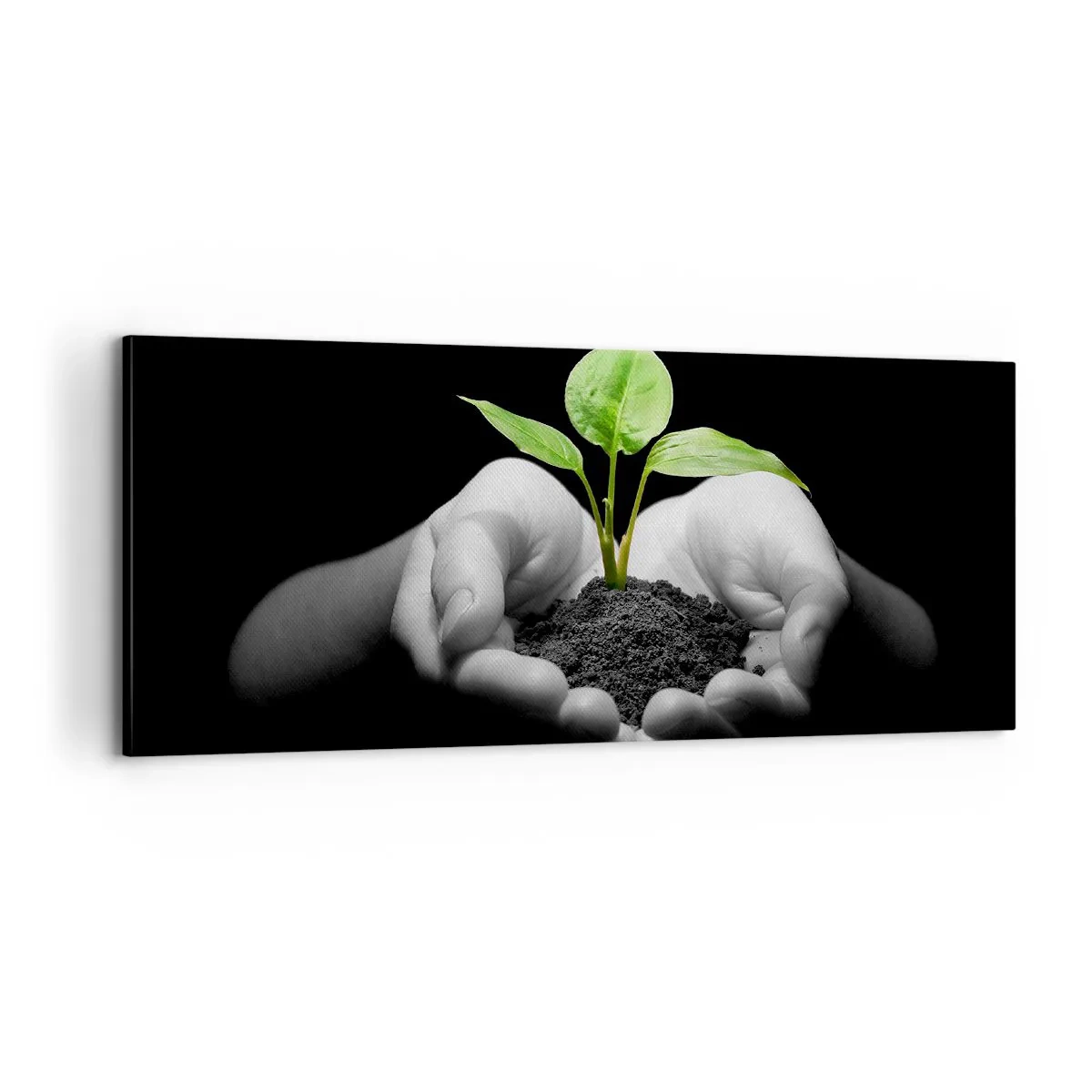 Quadro em tela - Eu amo a natureza, eu a protejo - 100x40 cm