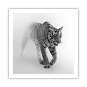 Pôster - À espreita na névoa - 60x60 cm