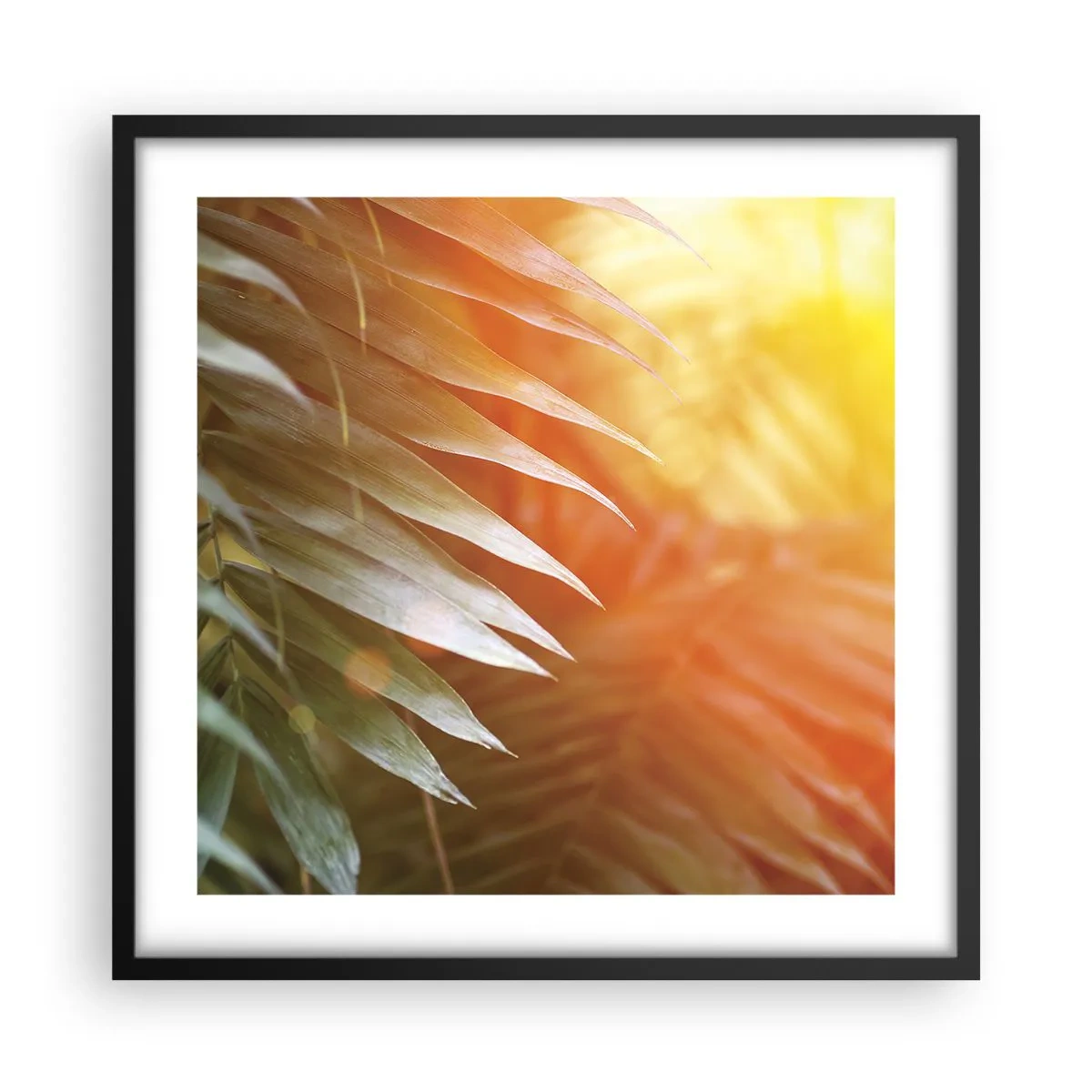 Pôster com moldura preta - Manhã na selva - 50x50 cm
