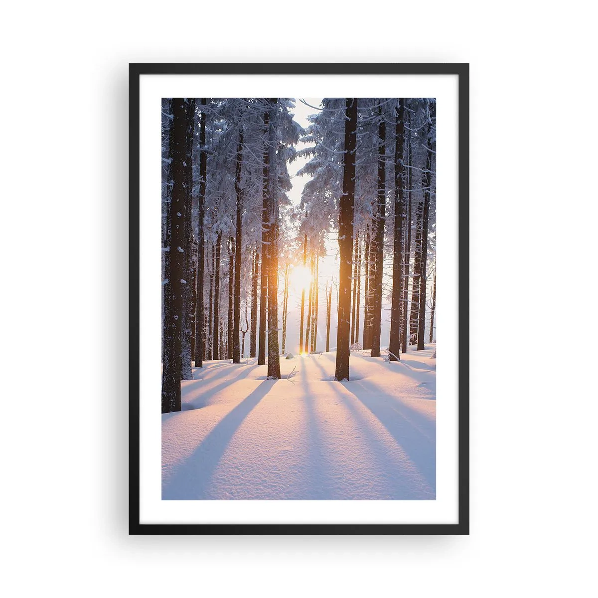 Pôster com moldura preta - Floresta de inverno com raios de sol brilhando através das árvores - 50x70cm - Preto no branco - Decoração de parede moderna para a sala de estar e quarto ARTTOR