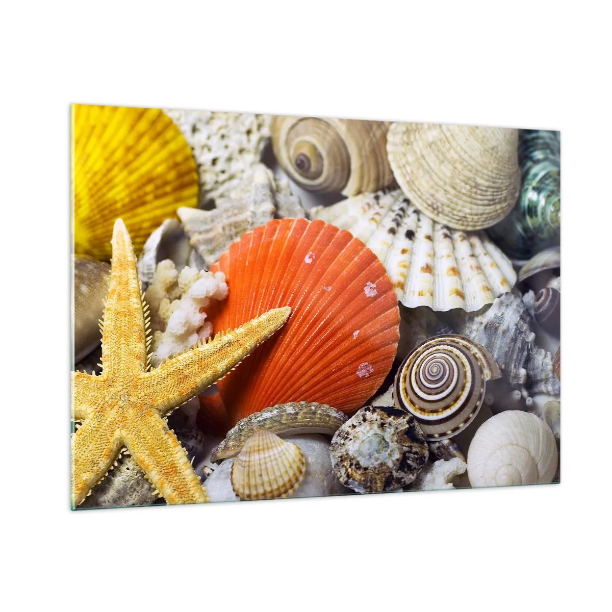 Quadro em vidro - Tesouros do oceano - 100x70 cm