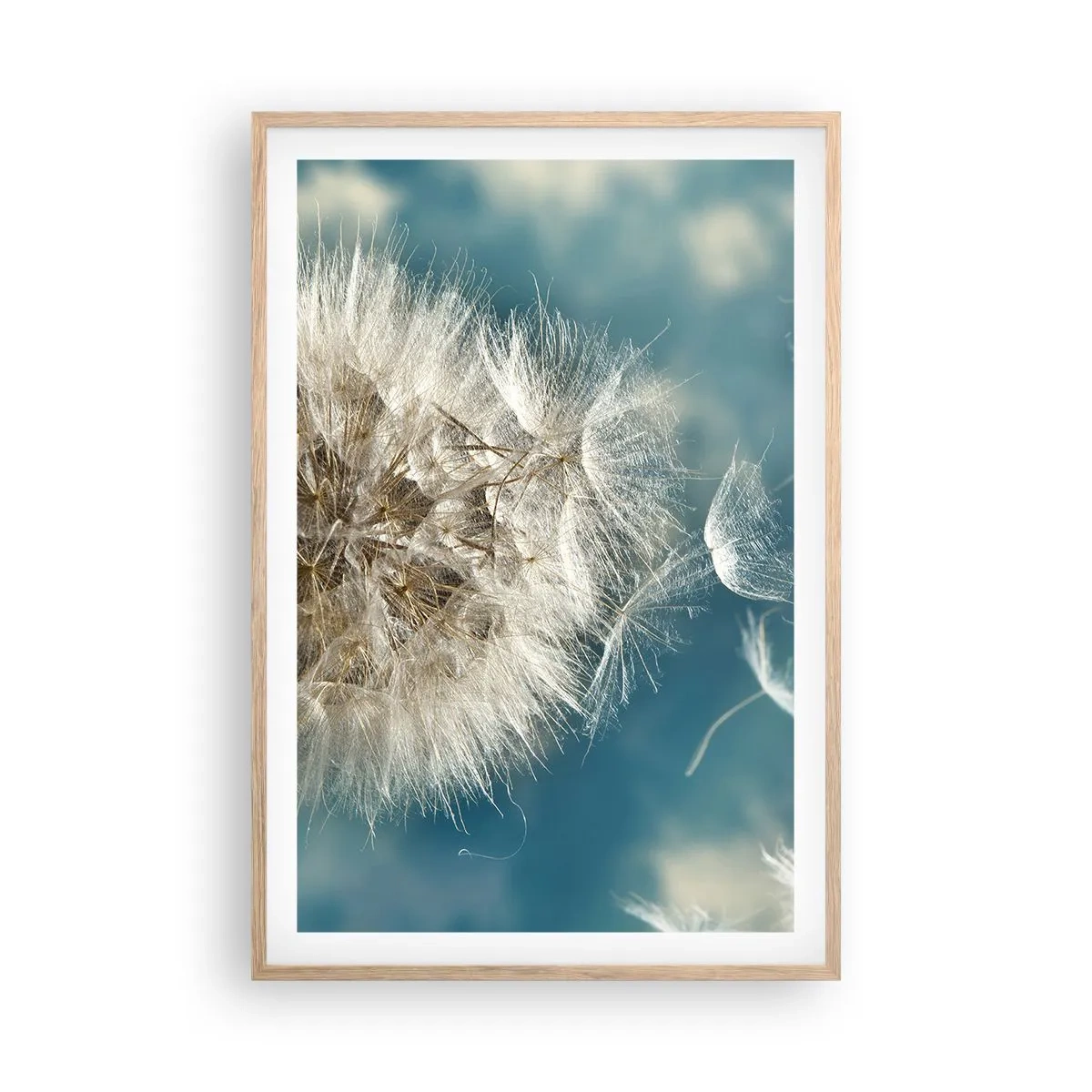 Pôster com moldura de carvalho claro - Respiração de um anjo - 61x91 cm