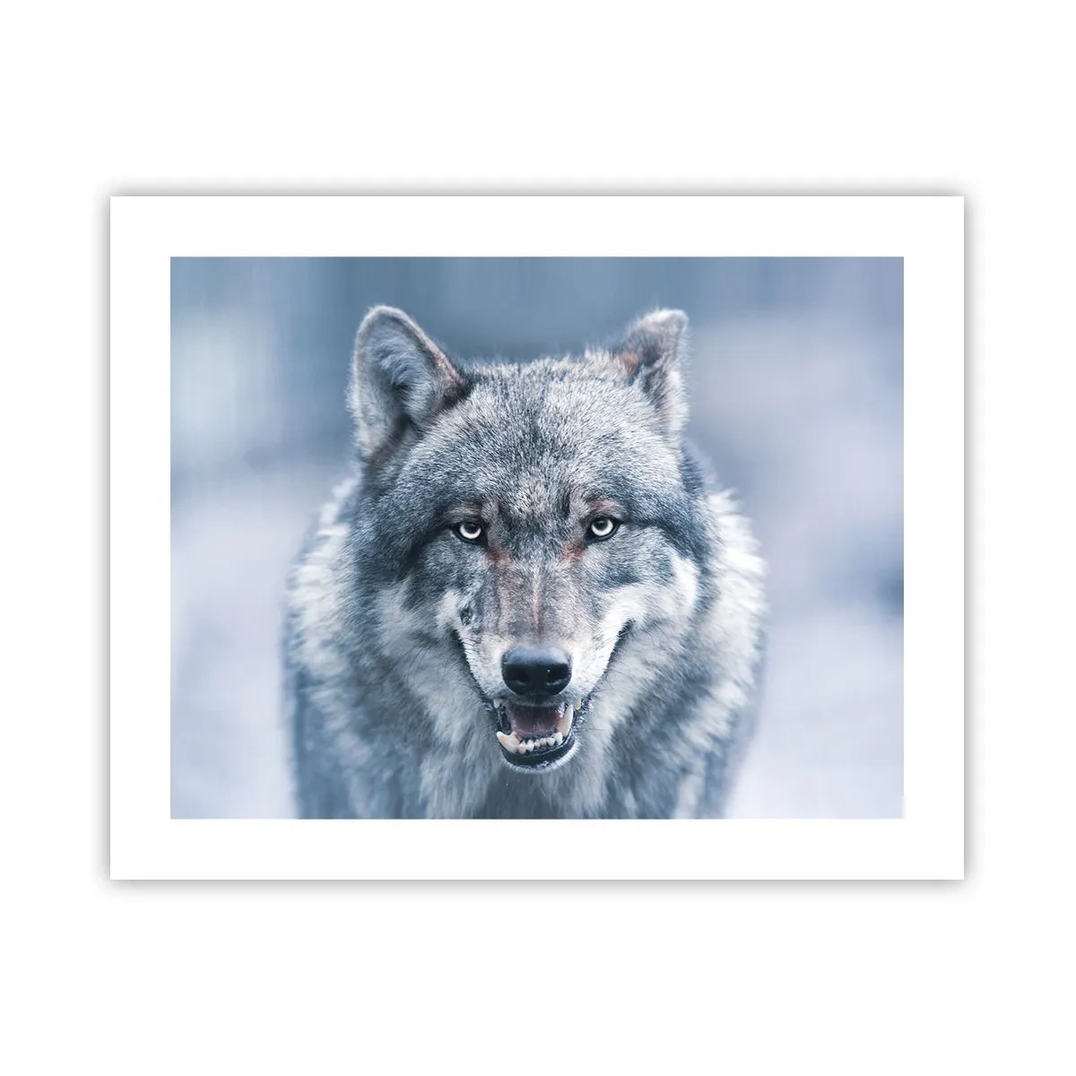 Pôster - Vai aceitar o desafio? - 50x40 cm