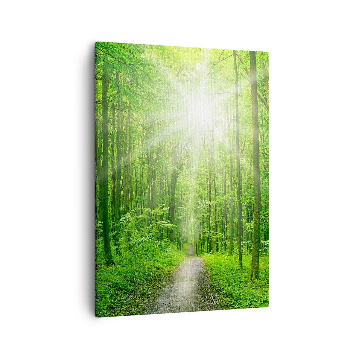 Quadro em tela - Catedral Verde - 50x70 cm
