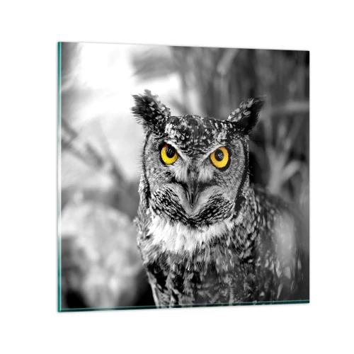 Quadro em vidro - Nada pode ser escondido - 70x70 cm