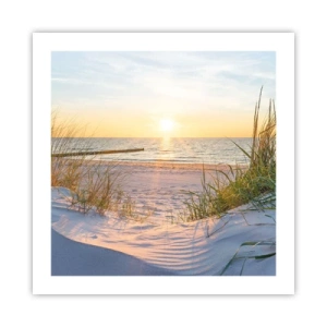 Pôster - O som do mar, o canto dos pássaros, a praia selvagem entre a relva... - 50x50 cm
